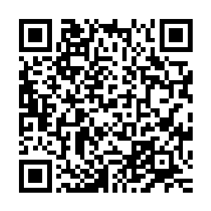 如果说这个世界上有什么事情是洪大力如今最恐惧和害怕的话二维码生成