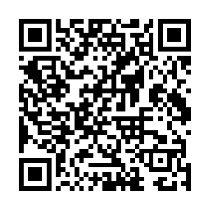 孙子轩胖乎乎的身影在郭琪儿的眼中越发变得高大了起来二维码生成