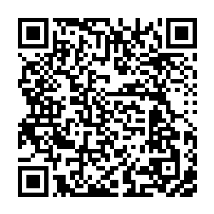 实力必然会再有一次强横的突破……未来会达到怎么样的一个层次二维码生成