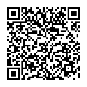 实地查看了解昌江省委省政府描绘得相当美好的蠡泽新区现在究竟是个什么模样二维码生成