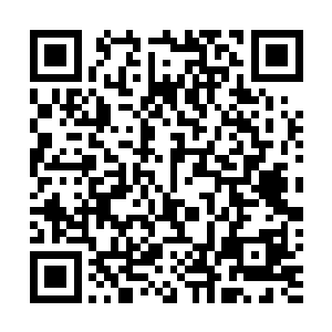 实际上你只需要保质保量完成我们在训练课上的正常训练二维码生成