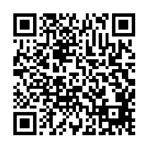 将仓库穹顶上一大片乱七八糟的管道和滑轨统统揉成一团二维码生成