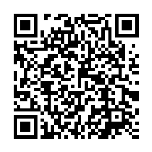 将刚刚从那欧阳友权手里收回来的珍珠手链给萧霓裳戴了回去二维码生成