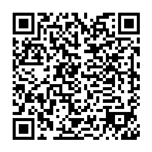 将那些不能进入轮回的中古以及上古修士灵魂镇压在四大真界的最底层二维码生成