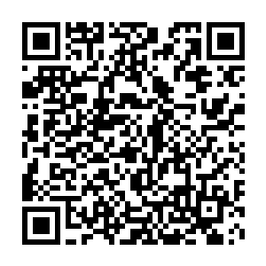 就勉强摸出自己战术背心口袋里的香烟给趴着的自己人丢一支过去二维码生成