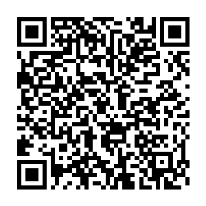 就在杨凌等人都因为楚旬一击灭杀了近百个沙地骑士而松了口气的时候二维码生成