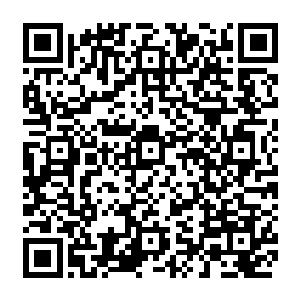 就在迪亚波罗因为楚旬利用雷电法相的力量吞噬了他的雷电之力而感到惊讶的时候二维码生成