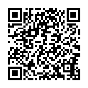 就将所有的丹参款和村办企业的分红全部给大家发放了下去二维码生成