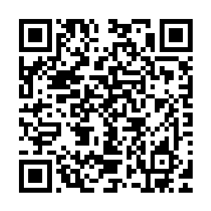 就故意让原本常年戒备森严的北凉王府在某段时间里故意放松二维码生成