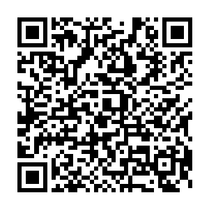 就羏椿嵊懈忧苛业某林匮蛊雀邢矗┘右恢至钊搜t卫Ф俚男Ч二维码生成