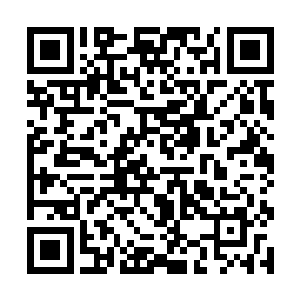 就连他们几乎耗尽的力量也开始重新在他们体内涌现二维码生成