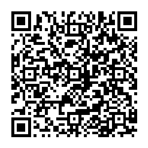 尼日利亚等的几内亚湾沿岸的拥有较为肥沃的土地的国家现在都已经成了radam的花园二维码生成