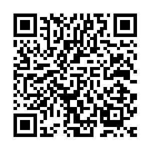 尽管这个建议会直接让苏定从这场颇具传奇意义的战役中出局二维码生成