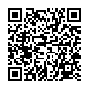 巨木魈厚叶只觉得浑身上下的精力都几乎要满溢了出来二维码生成