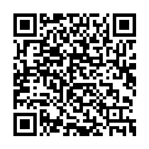 已经有一辆没有任何标识的马车停在街上等他们二维码生成