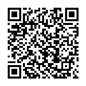 已经足以把他的脖子直接像掐断一根面条一样的勒成两截二维码生成