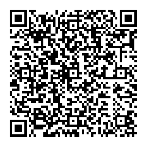 已经躲在山门中养尊处优了数百年的修真者根本不是久经沙场的妖兽的对手――更何况还有掌握了人类修真技术的妖族二维码生成