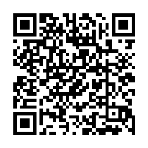 巴克还是选择慢慢的撕开自己t恤给对方做了个伤口包扎止血二维码生成