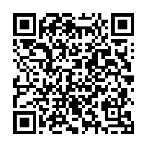 市委政法委书记的任免必须要经过市委常委会研究决定二维码生成