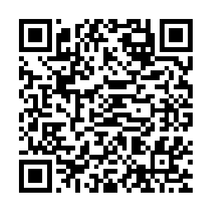 师叔祖把这地方交给老道老道不能在这里傻乎乎的等他们杀上来二维码生成