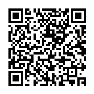 帝国综合学院的方案是最后一个呈交在裁判和军部高官面前的二维码生成