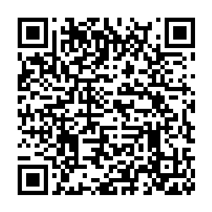 并明确表示如果有九原人误入黑森林超过三百米或者主动伤害枫族二维码生成