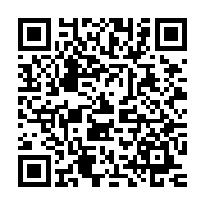 广州本田的4s代理是陆为民通过黄绍成的关系帮季婉茹拿下来的二维码生成