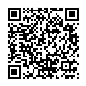 开始打听他祖宗八辈并表示出给他介绍对象的莫大热情二维码生成