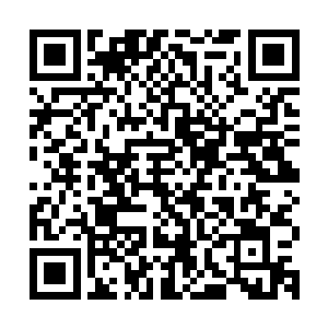 张铁完全是踩着层层叠叠的那些魔化傀儡们恶心的尸体在奔跑着二维码生成