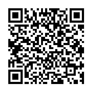 当叶尘来到这里之时发现路道两旁早就站满了观看热闹的学子二维码生成