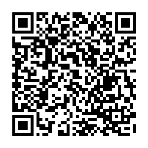 当然……往其他的原石投标箱里投入的卡片上他只会填写那块原石的起拍价二维码生成