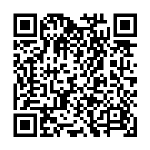 得到的回报却是自己的儿子在一个地方建造起酒池肉林二维码生成