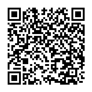 必须由临时督查委员会三所学校中的七名老师一起出具一份事故调查报告二维码生成