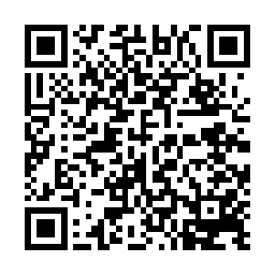 恐怕已经没有什么能够阻止新生的岚盟对整个北地的统合二维码生成