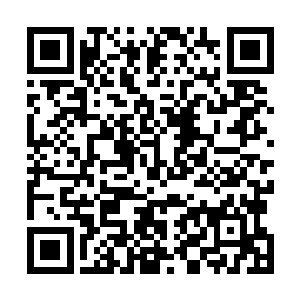 想必短时间内天庭也不会再让我们去执行什么危险的任务二维码生成