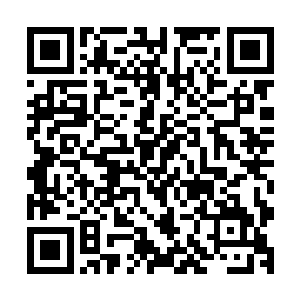 想着将你纳为我道门百年最强弟子所以才会想着出手帮助与你二维码生成