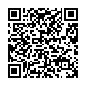 感谢小海豚小海豚15665785和小海豚15466536两位兄弟的打赏二维码生成