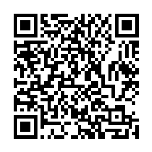 我一路上也在变飞边用大道金丹里提取的真仙气来稳固修为二维码生成