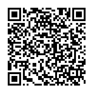 我之前已经按照你的吩咐让黛娜和洛瑞丝小姐在那里的海面上游弋二维码生成