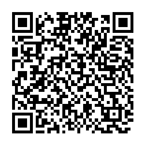 我也没看出来这个所谓的高科技养殖中心的高科技体现在什么地方二维码生成