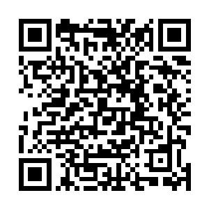 我也认为天龙宗能够有这么大的威势是借助了龙族的力量二维码生成