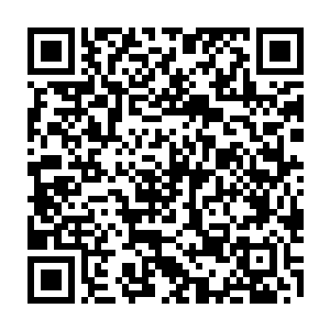 我们会拿出一半的股份奖励给像康叔叔这样为了公司殚精竭虑的老员工和元老二维码生成