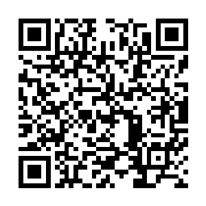 我们南方省还打算组织几个代表团到这江州来参加酒博会呢二维码生成