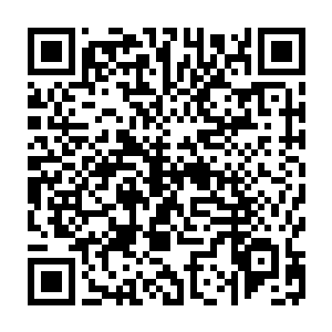 我们回城吧这个粮场我们一定要烧希望能够给侵入陈国的杨国大军造成一些混乱二维码生成