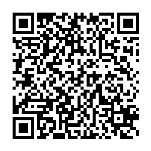 我们有幸邀请来注定将名垂史册的蓝天护先生和我们深爱地秦洛先生二维码生成