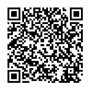 我们紫宵剑宗的弟子现在可是连紫霄剑域这小小的地方都走不出去二维码生成