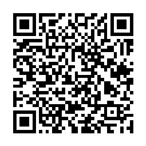 我和你之间的差异也依然大到根本不适合做彼此的伴侣二维码生成