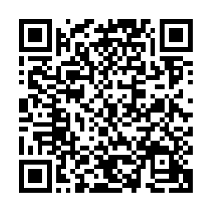 我在岭南势委的同学也帮我收集了一些有关方面的资料寄给了我二维码生成