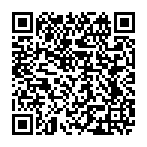 我对于家里面两个孩子的培养也有很多是遵循了东方师兄家里面的方式跟方法二维码生成