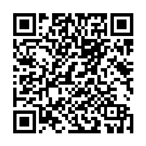 我将根据你们的完成情况来统计你们这一次历练最后的成果二维码生成